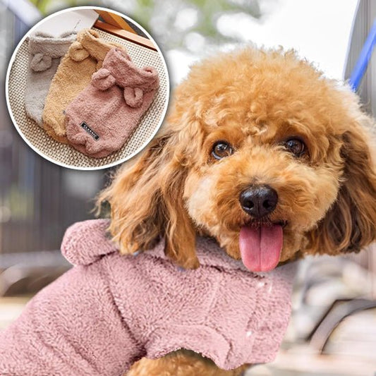 Manteau chien | DogCoat™ : Une Sélection de Sécurité et Amusante pour le Chien - Chien trop content