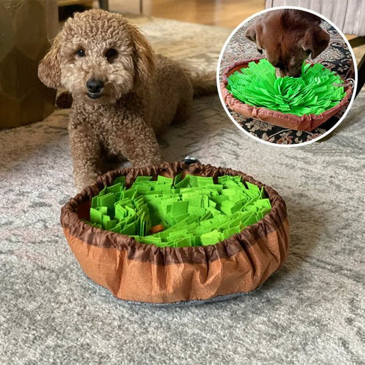 Tapis de fouille | MatSearch™ : Une Sélection de Sécurité et Amusante pour le Chien - Chien trop content