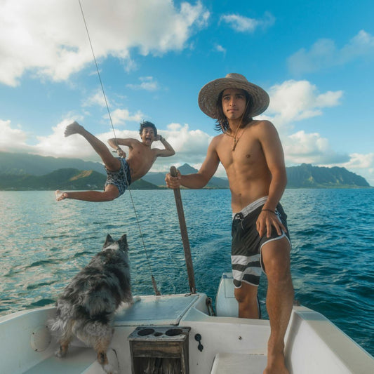Voyager avec son chien : Une Sélection de Sécurité et Amusante pour le Chien - Chien trop content