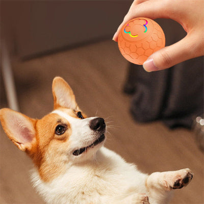 Balle pour chien DurableUltra orange salon chien