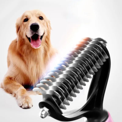 Brosse chien Brush rose brun assis chien