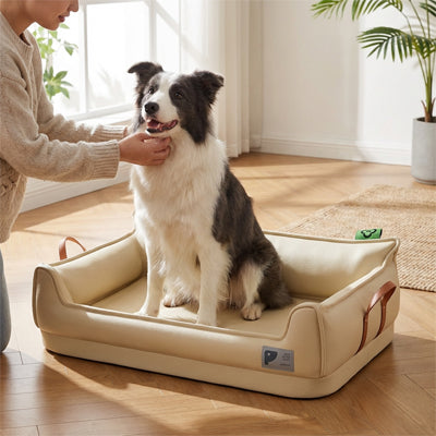 Canape pour chien ConfortElegant blanc assis chien