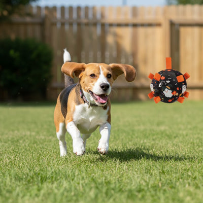 Jouet pour chien RobustPlay noir courir brun chien
