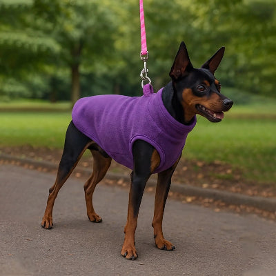 Manteau pour chien ImpermeCon noir violet debout chien
