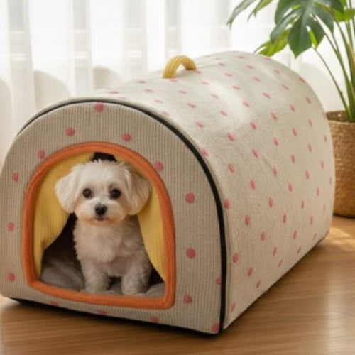 Niche chien ComfortableAndStylish jaune orange assis blanc chien