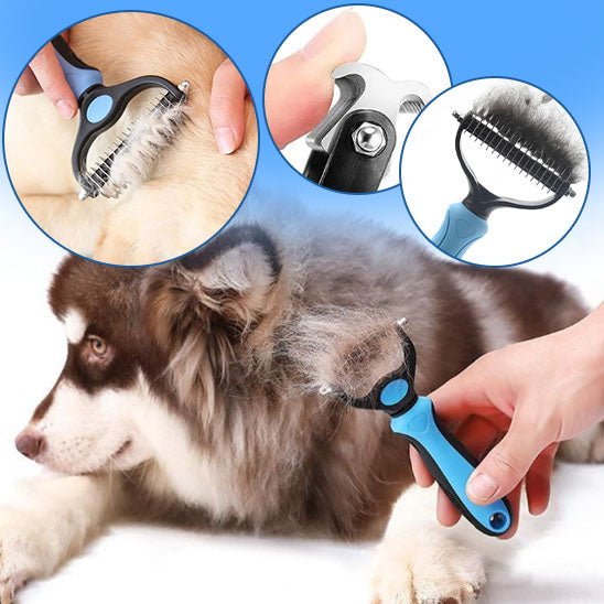 brosse-chien-brush-chien-brun