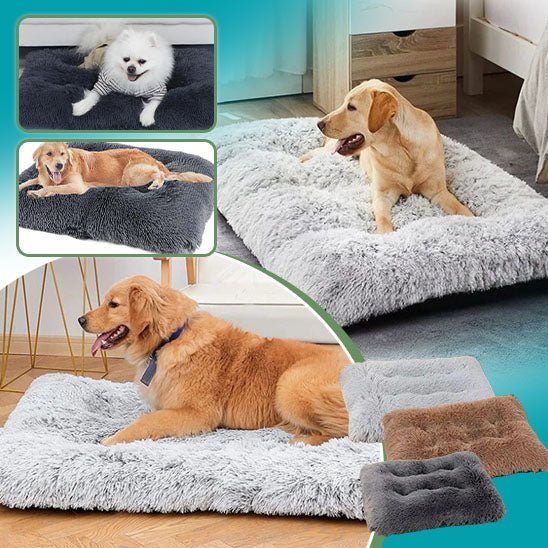 canape-pour-chien-ultime-canapedog-gris-brun