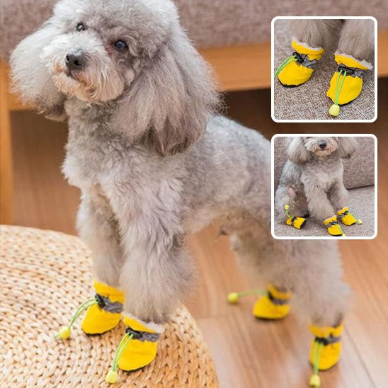 chaussure-chien-dogshoes-chien-jaune