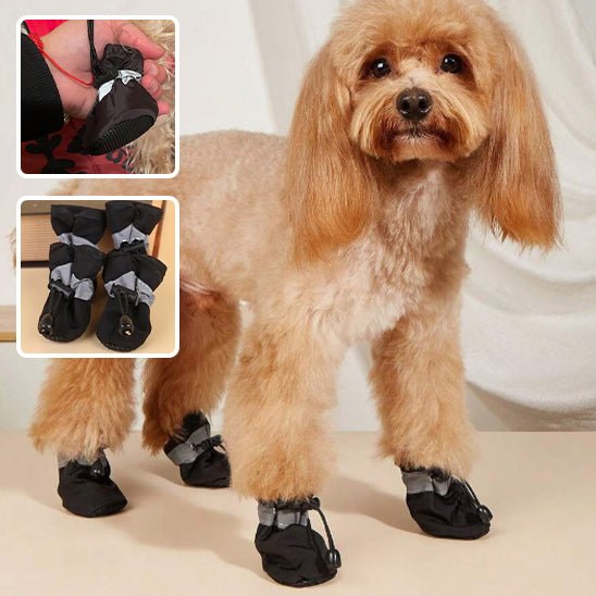 chaussure-chien-dogshoes-chien-noir