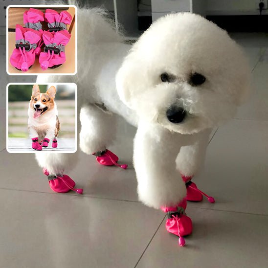 chaussure-chien-dogshoes-chien-rose
