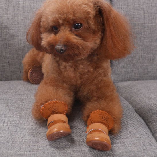 chaussure-chien-shoesdog-chaussure-brun