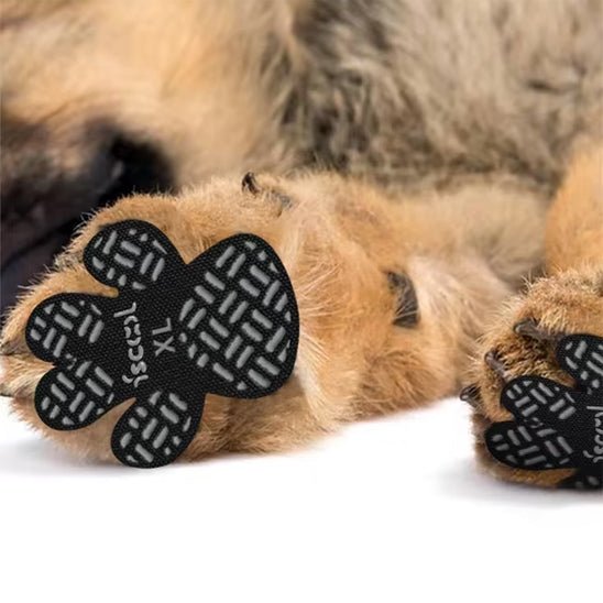chaussure-chiens-dogsshoes-chien-brun-noir