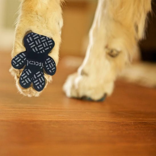 chaussure-chiens-dogsshoes-chien-noir-brun