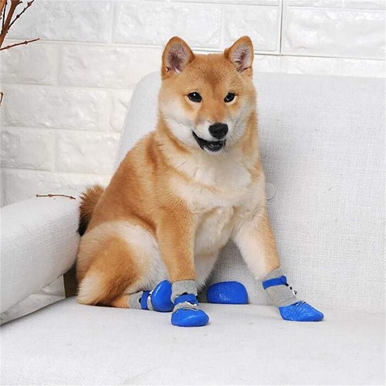 chaussure-pour-chien-dogs-chien-bleu-brun