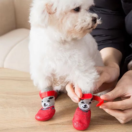 chaussure-pour-chien-dogs-chien-rouge-blanc