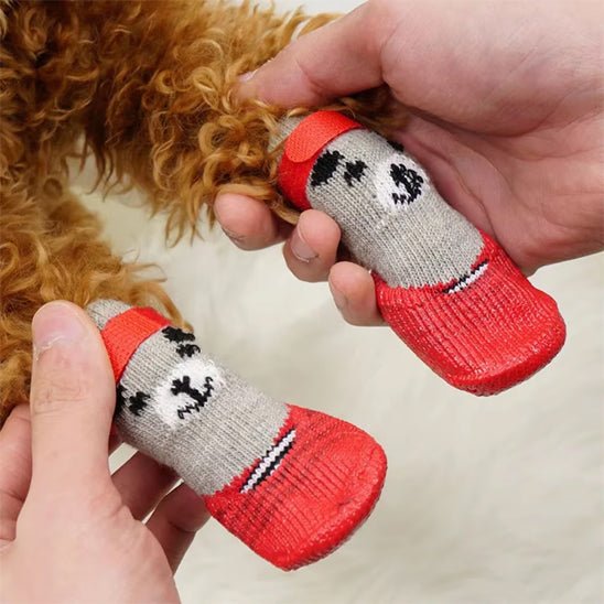 chaussure-pour-chien-dogs-chien-rouge-brun
