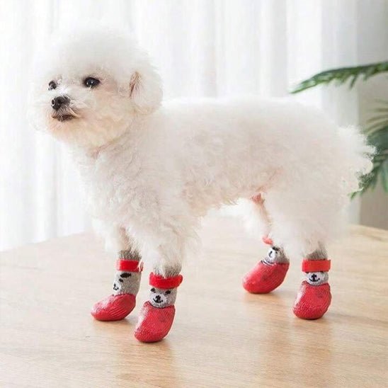 chaussure-pour-chien-dogs-chien-rouge