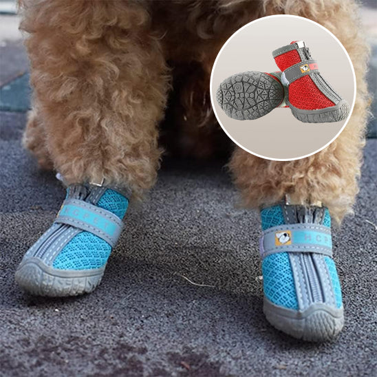 chaussure-pour-chien-shoes-bleu-rouge