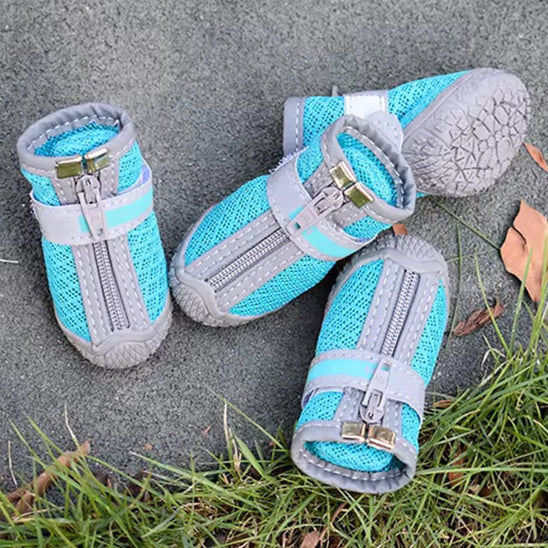 chaussure-pour-chien-shoes-bleu