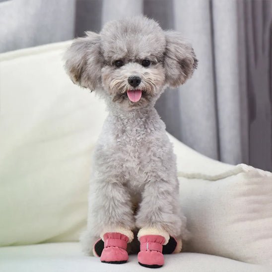chaussures-pour-chien-dogsfor-chien-rose