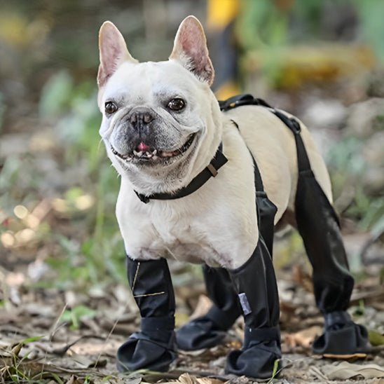 chaussures-pour-chien-fordogs-chien-blanc-noir