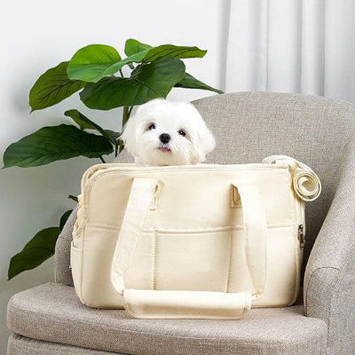 Chien sac de transport carpets blanc beige plancher dedans chien