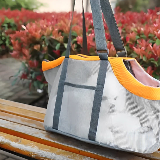 chien-sac-de-transport-carrier-orange-vide-chien