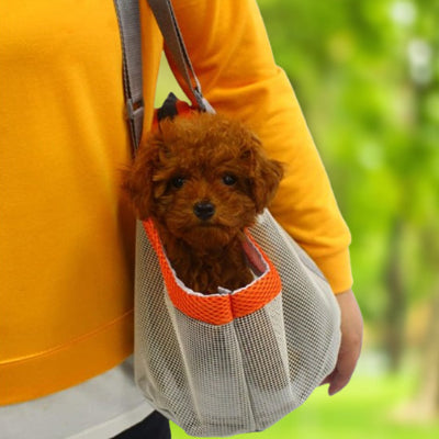 Chien sac de transport carrier rouge, brun chien