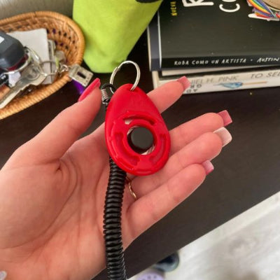 Clic d'apprentissage chien trainingclic rouge main