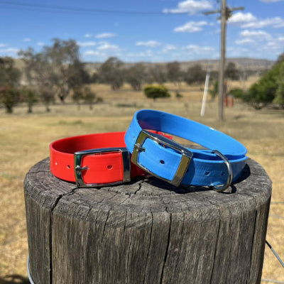 Collier chien JewelryDog orange bleu chien