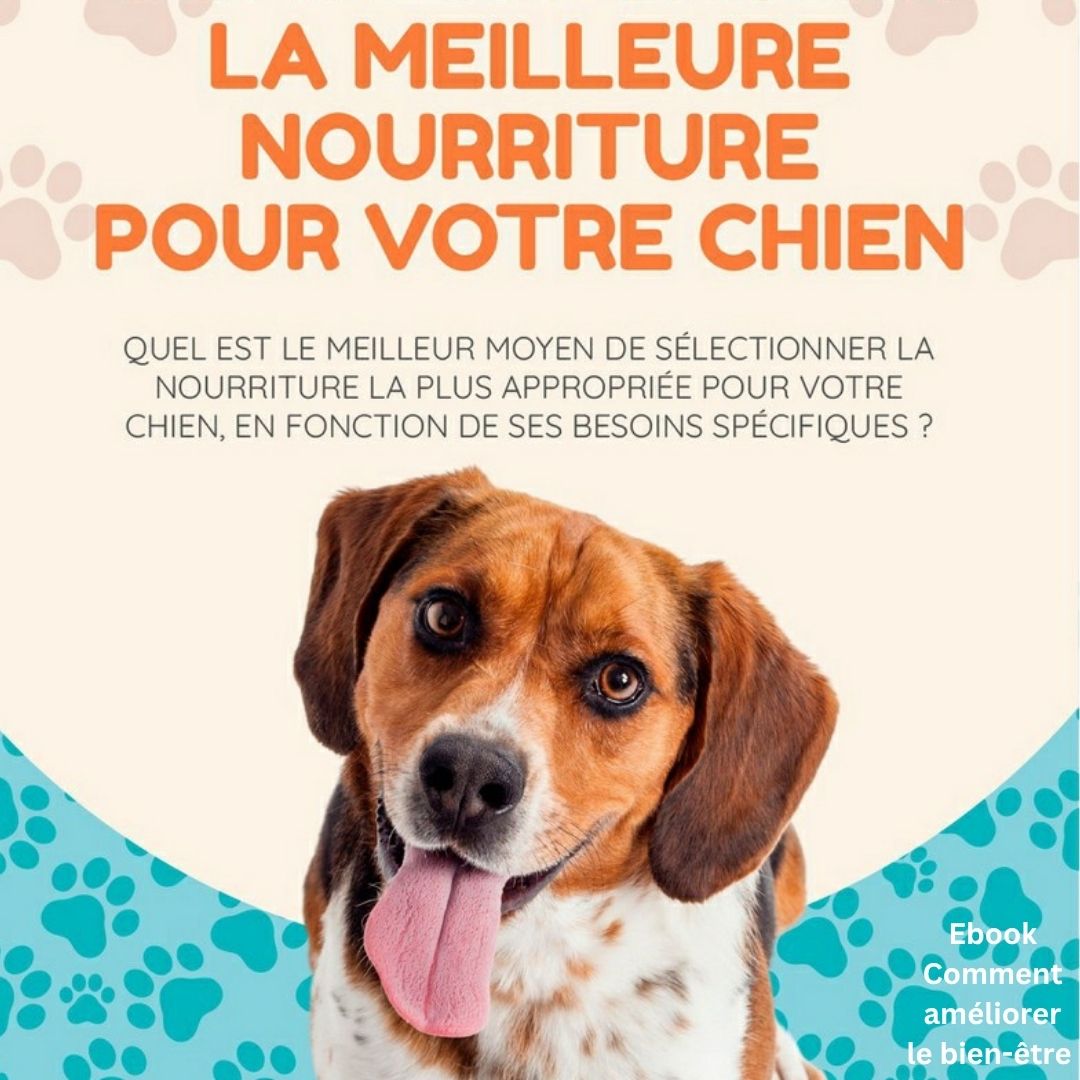 comment-choisir-la-meilleure-nourriture-pour-votre-chien