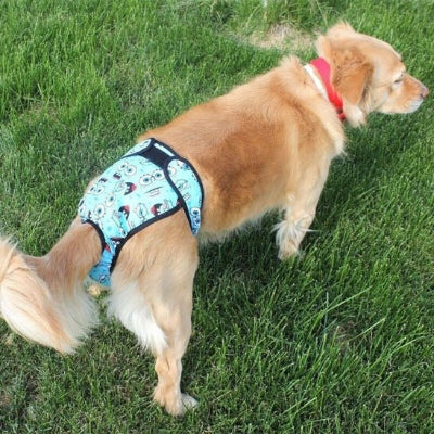 Couches chiens ForDog chien bleu, brun