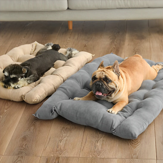 coussin-chien-canshion-gris-brun-coucher-chien