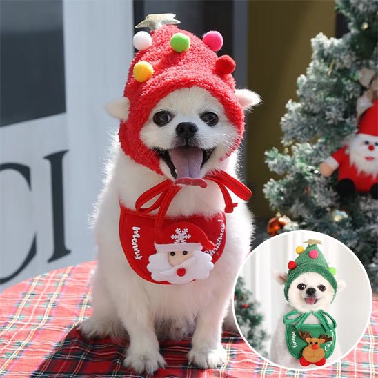 deguisement-chien-dogcostu-bonhomme-rouge-vert-chien