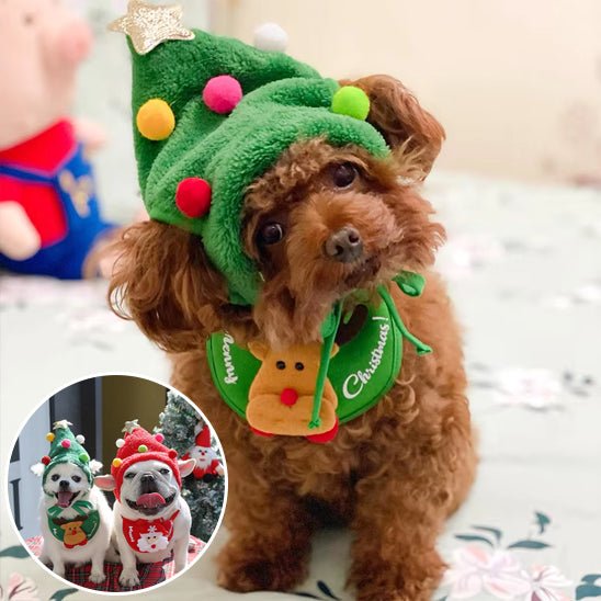deguisement-chien-dogcostu-bonhomme-trois-chien