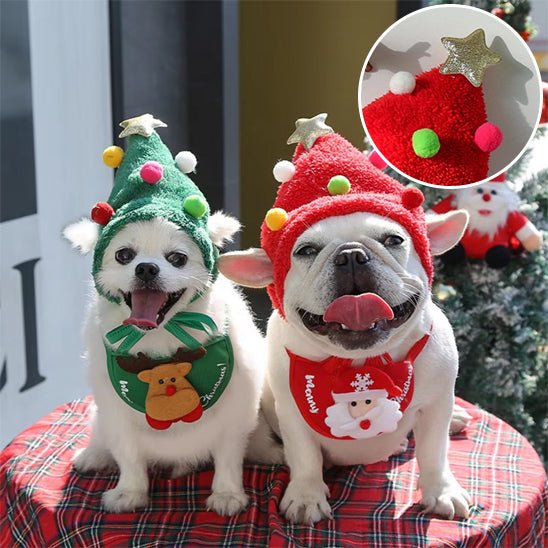 deguisement-chien-dogcostu-bonhomme-vert-rouge-chien
