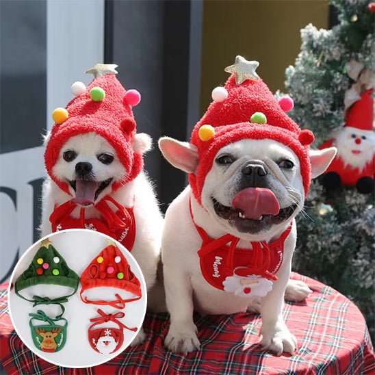 deguisement-chien-dogcostu-deux-bonhomme-chien