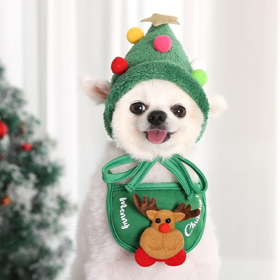 deguisement-chien-dogcostu-vert-bonhomme-chien
