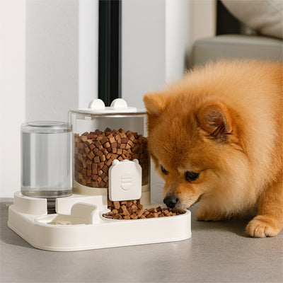 Distributeur croquette chien autoprogram brun regarde nourriture chien