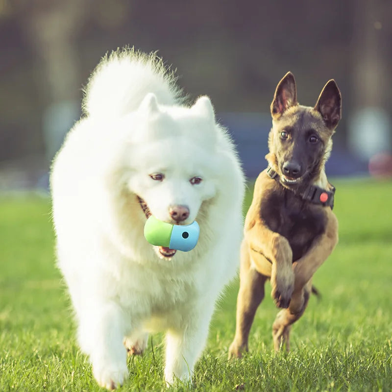 distributeur-d-aliments-pour-chien-petsup-courir-noir-blanc-chien
