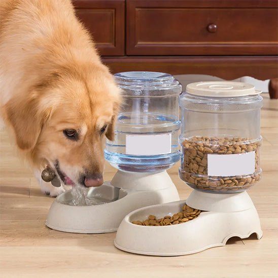 distributeur-de-croquettes-crodis-chien-brun