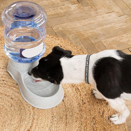 distributeur-de-croquettes-crodis-chien-eau