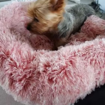 Fauteuil chien dogarmchair rose brun, noir