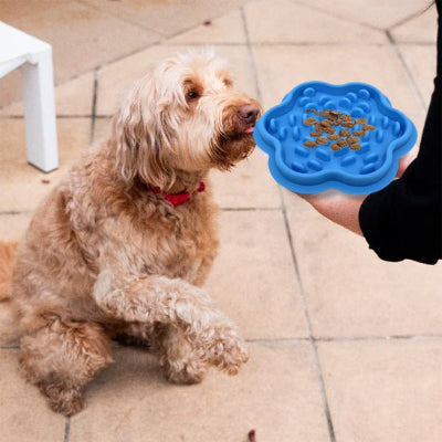 Gamelle anti glouton chien antiglou chien bleu assis