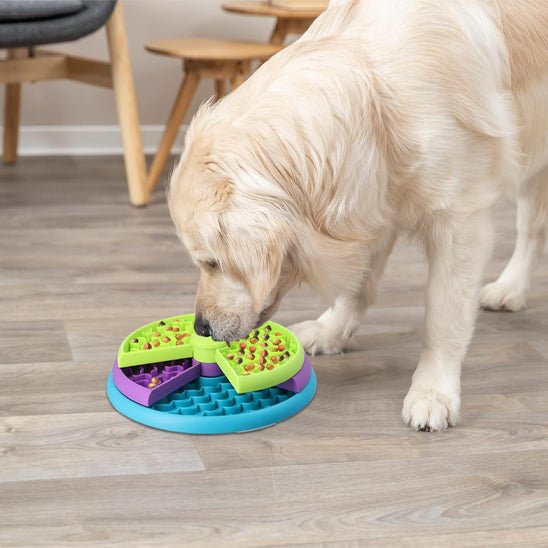 gamelle-anti-glouton-chien-gamanti-chien-jaune-violet-bleu