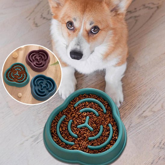 gamelle-anti-glouton-gourdbowl-bleu-brun-vert-chien