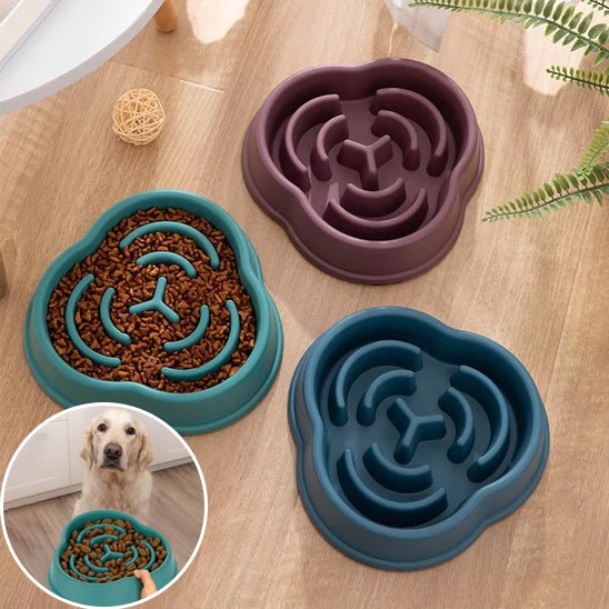 gamelle-anti-glouton-gourdbowl-brun-vert-bleu-chien