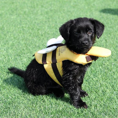 Gilet de sauvetage chien buzzsafe jaune abeille noir chien