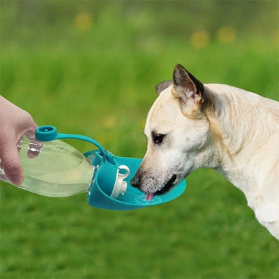 Gourde chien gourddog chien boire bleu