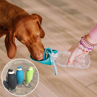 Gourde chien gourddog chien trois couleurs